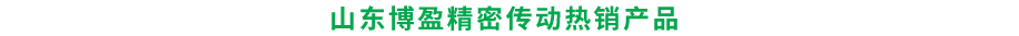 博盈機(jī)械精密傳動(dòng)熱銷(xiāo)產(chǎn)品